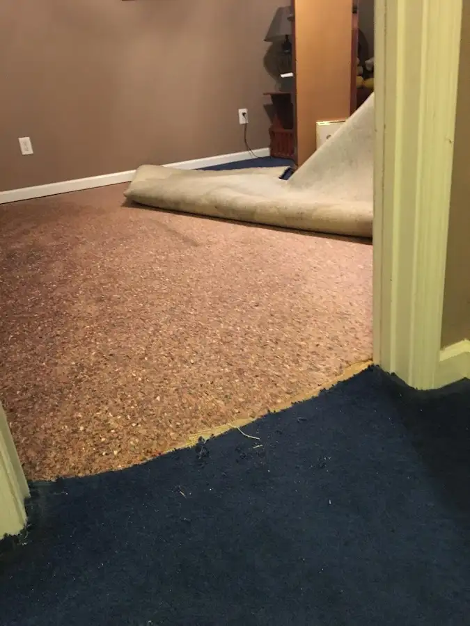 Carpet pad removal revealing water damage during Water Mitigation Services in Barton
